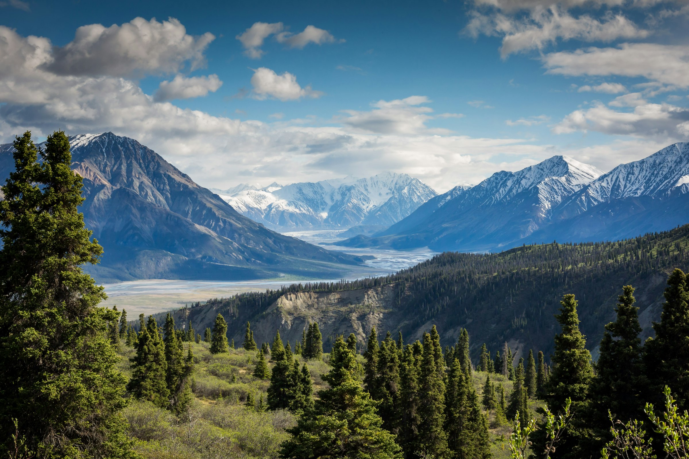 Sunlit mountain valley with evergreen forests and distant snowy peaks